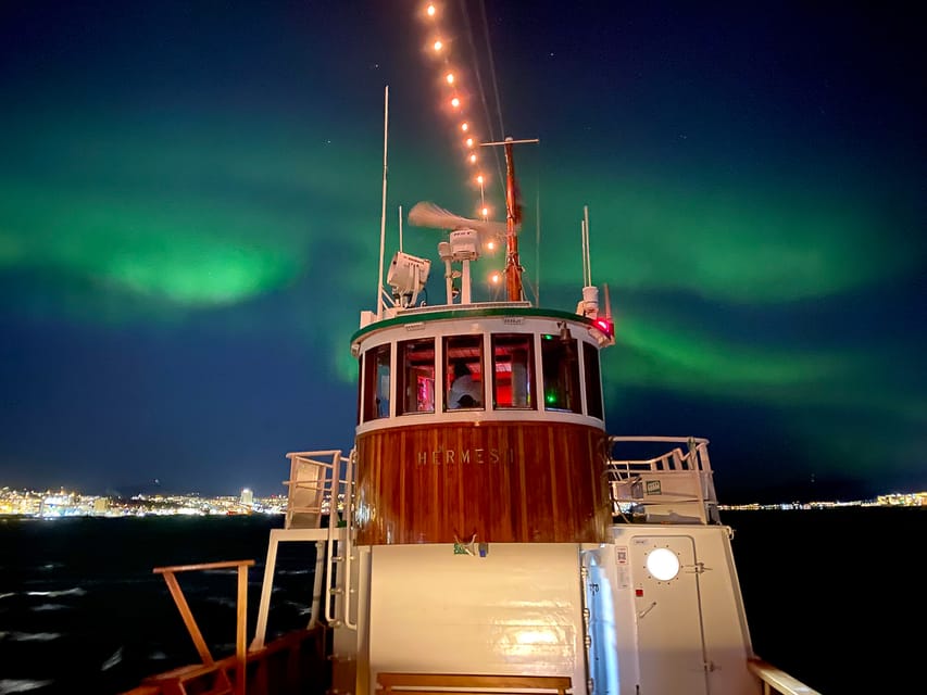 Tromsø: A Taste of Coastal Traditions - Wildlife Encounters and Birdwatching Opportunities