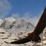 Tromsø: Arctic Fjord Tour, Feed Reindeer, Sami Camp & Museum - From Tromsø’s Museum to the Arctic Fjords