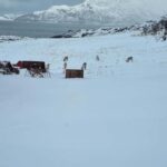 Tromsø: Arctic Fjords & Beaches  Coastal Escape - Spot Reindeer, Eagles, and Otters in Their Natural Habitat