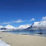 Tromsø: Arctic Fjords Tour. Sommerøya and Kvaløya with Lunch - Visiting Kaldfjord: Scenic Views and Wildlife Opportunities
