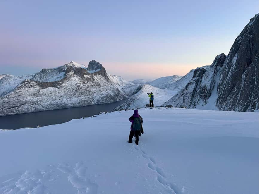 Tromsø: Arctic Sightseeing & Snowshoeing with picnic - Scenic Drive into Norway’s Arctic Wilderness from Tromsø