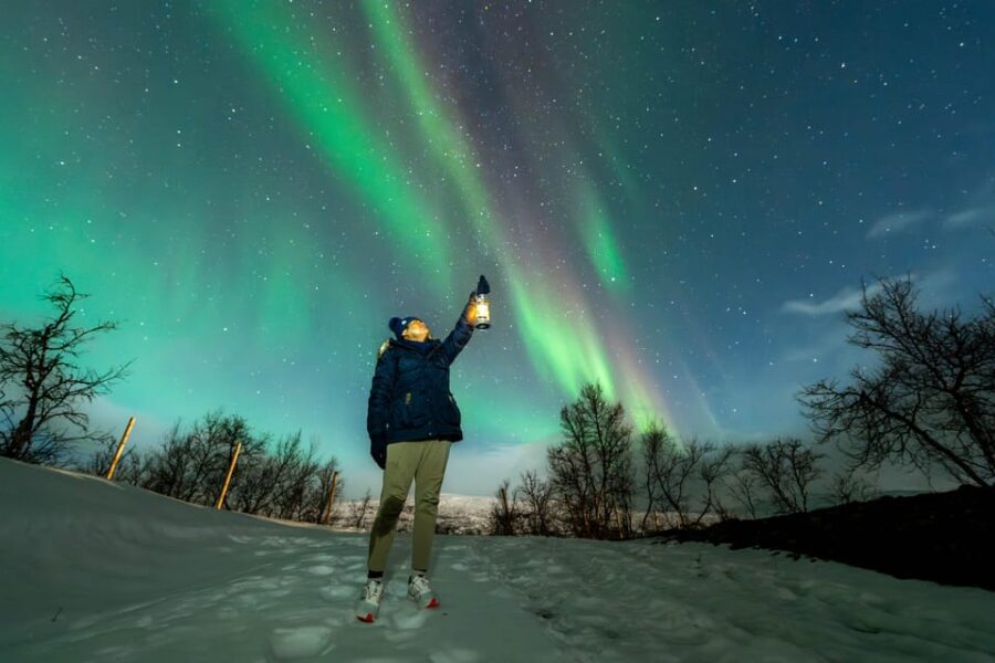 Tromsø: Aurora Borealis, Campfire, Hot Meal, Arctic Tour - Starting Point in Tromsø and Transportation Details