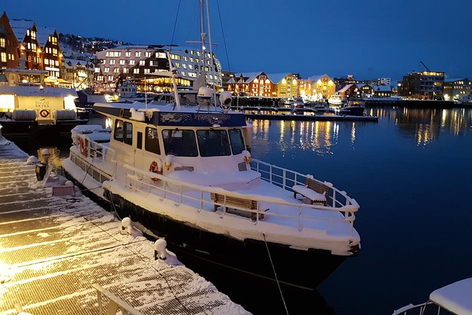 Tromsø City Walk - Meet Your Local Guide and Learn Tromsø’s History