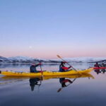 Tromsø: Easy Winter Kayaking Tour with Seal Watching - The Calm Waters of Håkøybotn and the Nature that Awaits
