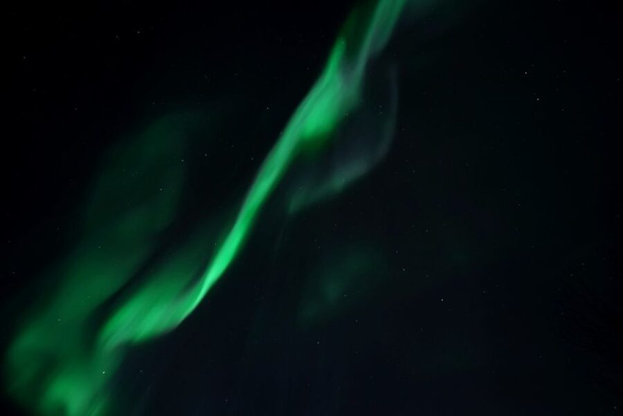 Tromsø: Evening Cruise with Northern Lights Opportunity - Detailed Breakdown of the Tour Itinerary