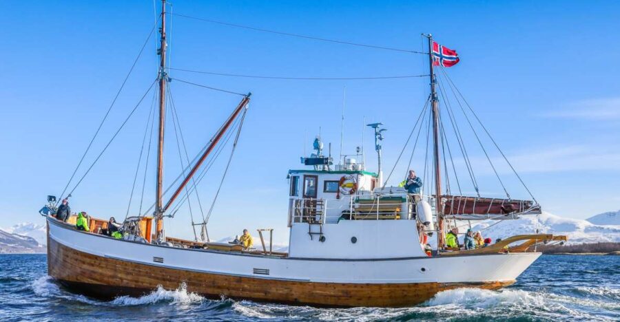 Tromsø: Fjord History Cruise with Snack and Drinks - Exploring the Hermes II’s Unique Charm
