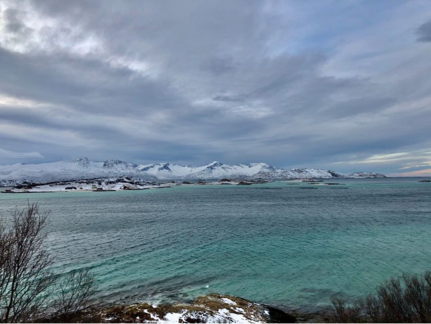 Tromsø: Fjords and Sommarøy Islands Tour with Salmon Picnic - What Makes This Tour Stand Out