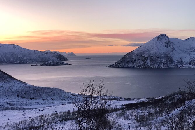 Tromsø: Fjords Tour with campfire and photos - Exploring Sommarøy: A Coastal Wonderland