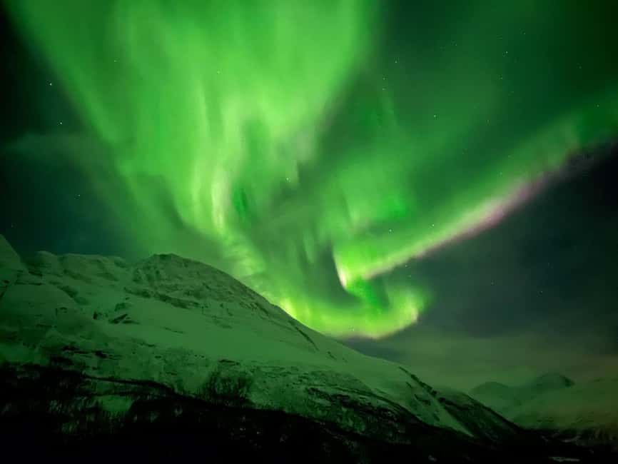 Tromsø: Full Night Magic of the Northern Lights - Access to Remote Locations for Better Aurora Viewing