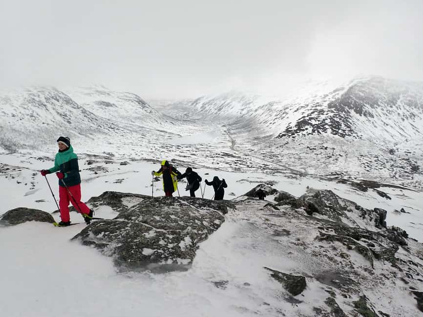 Tromsø: Guided snowshoe hill hike - What Youll Find at the Summit: Hot Drinks and Local Sweet Snacks
