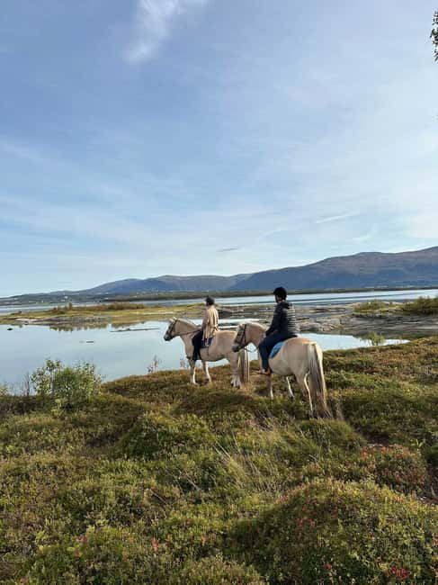 Tromsø: Horseback Riding Tour vinter/summer - How the Horseback Riding Experience Is Structured