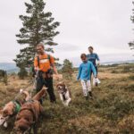 Tromsø: Husky Hike and Puppy Visit with Traditional Lunch - The Husky Walk: A Challenging and Fun Trek