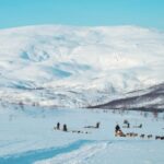 Tromsø: Husky Sled Self-Drive with Traditional Lunch - Preparing for the Cold Arctic Climate