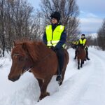 Tromsø: Lyngen Horse Winter Riding Experience - What to Expect During the Horse Grooming and Saddling
