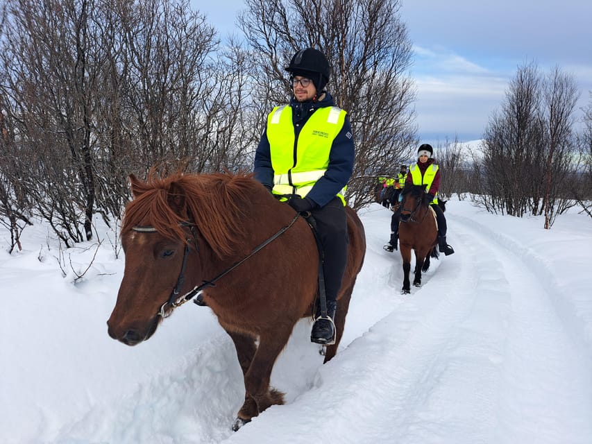 Tromsø: Lyngen Horse Winter Riding Experience - What to Expect During the Horse Grooming and Saddling