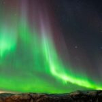 Tromsø: Nocturnal cod fishing with meal. - Starting point at Tromsø’s Storgata 88