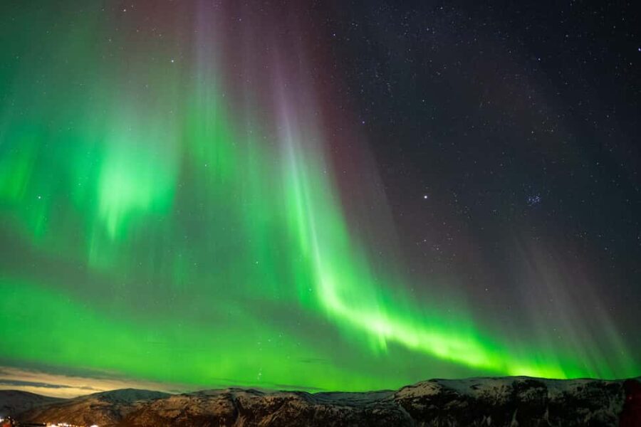 Tromsø: Nocturnal cod fishing with meal. - Starting point at Tromsø’s Storgata 88