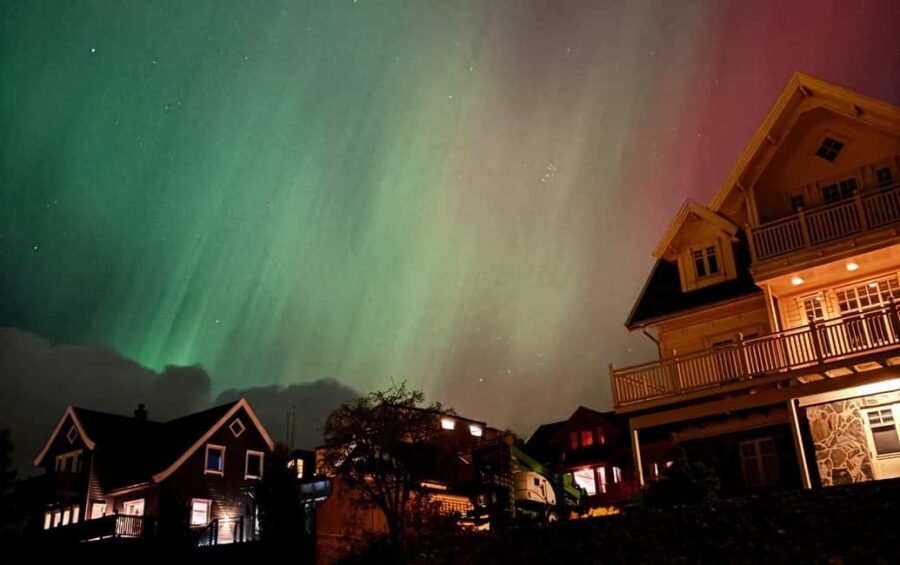 Tromsø: Northern Lights Bus Tour  Chase the Aurora Borealis - Real-Time Spot Selection Using Live Forecasts