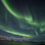 Tromsø: Northern Lights Guided Bus Tour - Local Knowledge Drives the Aurora Hunt