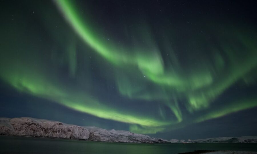 Tromsø: Northern Lights Guided Bus Tour - Local Knowledge Drives the Aurora Hunt