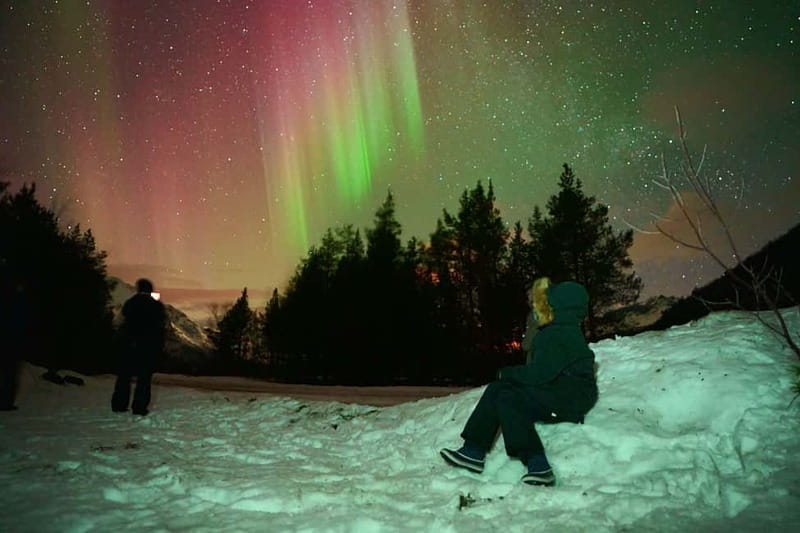 Tromsø: Private Northern Lights Tour with Pro Photographer - An Exclusive Private Tour from Tromsø with Tailored Timing