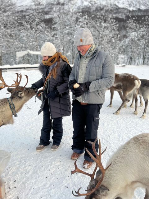 Tromsø: Reindeer Experience at a Sami Camp - From Tromsø to Lavangsdalen: Scenic Transport and Small Group Comfort