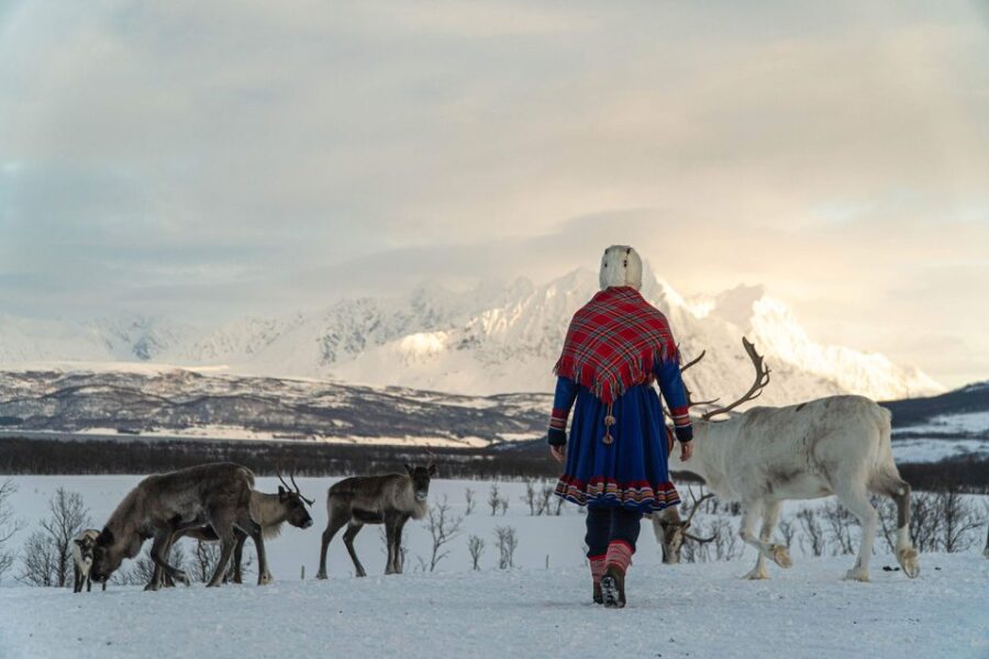 Tromsø: Reindeer Feeding and Sami Cultural Experience - Meeting Point Near Tromsø’s Central Hotels