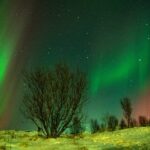 Tromsø: Small-Group Adventurous Northern Lights Hunt - How the Tour Finds the Best Aurora Viewing Locations