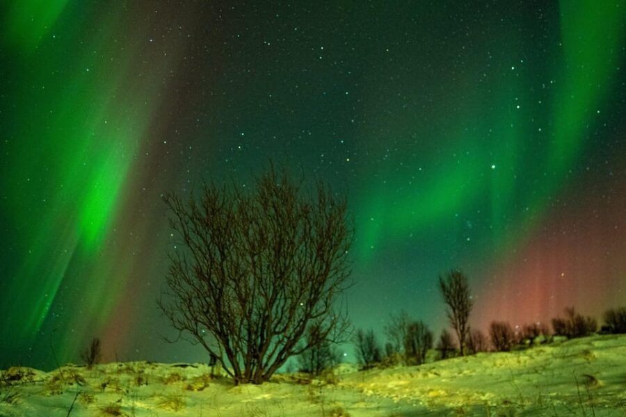 Tromsø: Small-Group Adventurous Northern Lights Hunt - How the Tour Finds the Best Aurora Viewing Locations