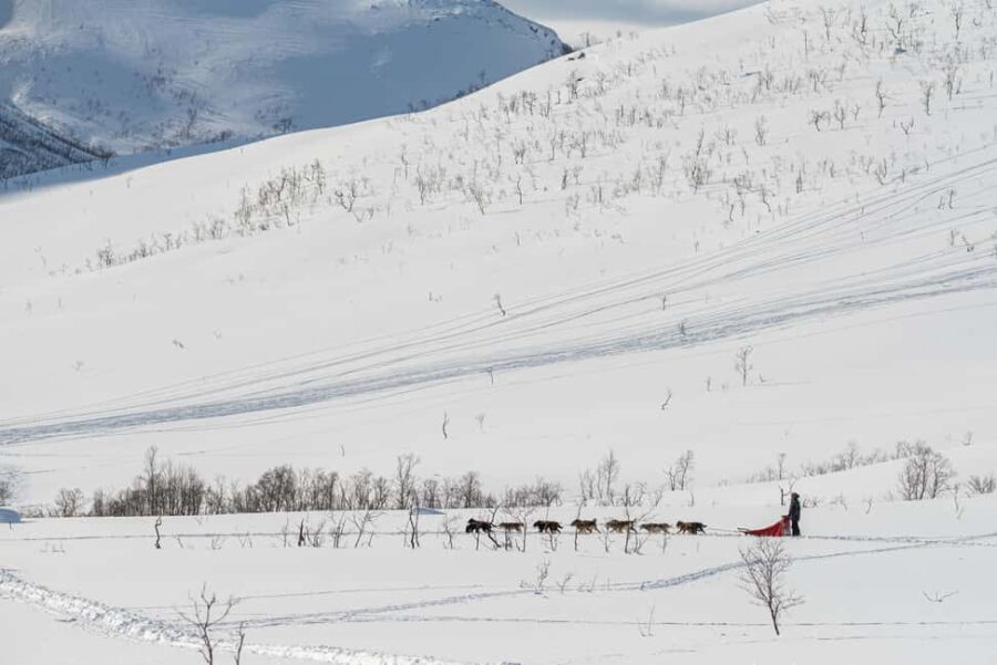 Tromsø: Small Group Kvaløya & Sommarøy Fjord Tour with Lunch - Price, Duration, and Booking Details