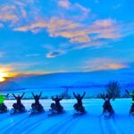 Tromsø: Snowmobile Safari with Aurora Crystal Lavvo Stay - The Aurora Wonderland Basecamp and Scenic Views