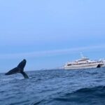 Tromsø Whale Safari with MS Gabriele - Inside the MS Gabriele: Comfort Meets Practicality