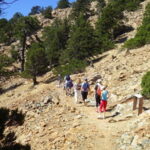 Troodos walking trip - Exploring the Artemis Trail: Cyprus’s Highest Altitude Walk