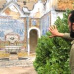 True Portuguese Soul in Lisbon - Enjoying Snacks and Drinks Along the Way