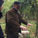 Truffle hunt, Lunch, Horse riding, a top half-day near Florence - Horseback Riding Through Vines and Olive Groves