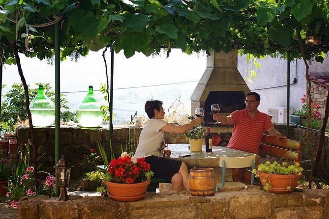 Truffle hunting adventure - Searching for Black and White Truffles with Trained Dogs