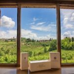 Truffle Hunting and Cooking Class - The Truffle Hunting Experience with Expert Dogs