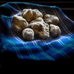 Truffle Hunting and Handmade Pasta in Ascoli Piceno - Starting Point at Agriturismo Ramusè in Force, Italy