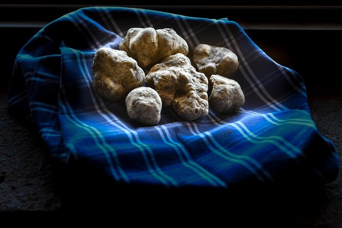 Truffle Hunting and Handmade Pasta in Ascoli Piceno - Starting Point at Agriturismo Ramusè in Force, Italy