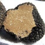Truffle hunting in Istria private experience - Starting Point: The Medieval Charm of Motovun