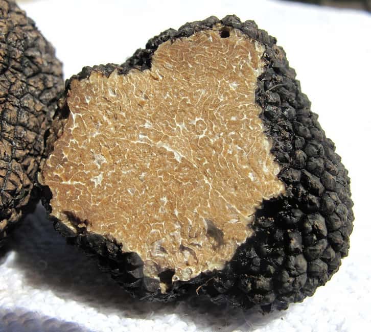 Truffle hunting in Istria private experience - Starting Point: The Medieval Charm of Motovun