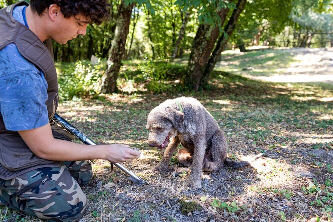 Truffle Hunting & Truffle Cooking Class - Truffle Hunting Near the Tuscany Woods