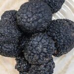 Truffle Tasting & Museum Tour in Umbria, near Perugia - In-Depth Visit to the Truffle Estate
