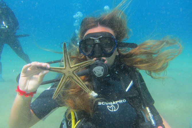 Try a DIVE, discover scuba diving in Mykonos - The Certified PADI Guides and Their Approach