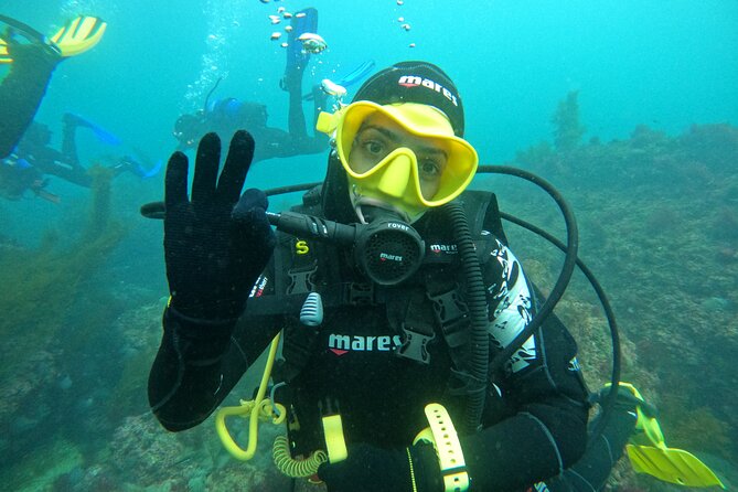 Try Scuba Diving in Arrabida Natural Park (Near Lisbon) with pictures - All-Inclusive Equipment and Instruction from Certified Instructors