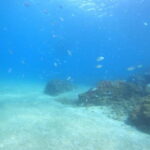 TRY SCUBA - Experience for beginners - Meeting Point and Location in Lanzarote