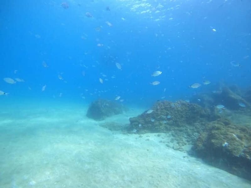 TRY SCUBA - Experience for beginners - Meeting Point and Location in Lanzarote
