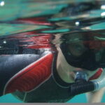 Tucepi: Snorkeling Boat Tour at the Makarska Riviera - Meeting Point and Logistics in Tucepi Harbor