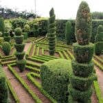 Tuk Tuk Botanical Garden - Madeira Island - An Intimate City Tour Through Funchal’s Old Town