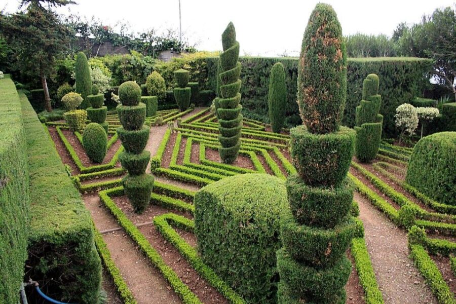Tuk Tuk Botanical Garden - Madeira Island - An Intimate City Tour Through Funchal’s Old Town